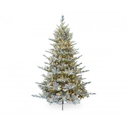 Abete cortina - 2211 Tips -...