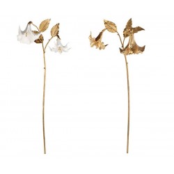 Ramo con due fiori datura