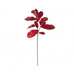 Ramo foglie di magnolia rosse