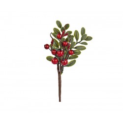 Pick vischio rosso - 6pz