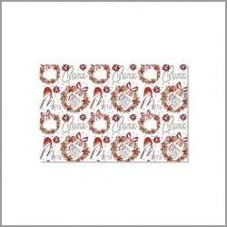 Carta da regalo stella di...