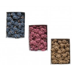 Mini Coccarde di carta...