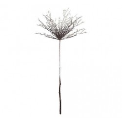 Ramo pioppo innevato