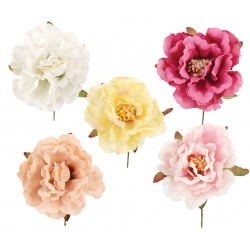 Pick peonia - 12pz