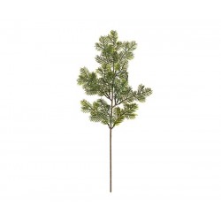 Ramo di pino naturale