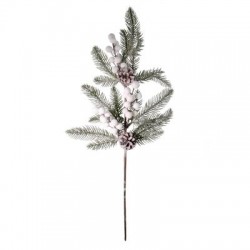 Ramo pino bacche e pigne