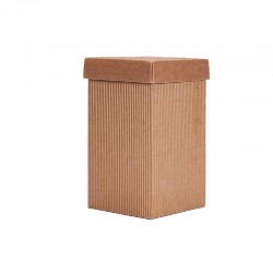 Scatola con coperchio...