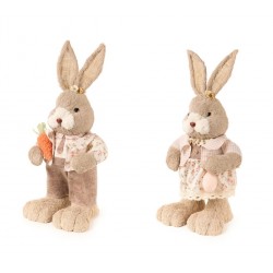 Coniglio in piedi con vestito