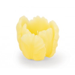 Candele tulipani gialli -...