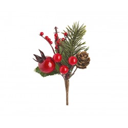 Pick melograno, bacche e...