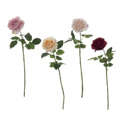 Rosa vendela real touch