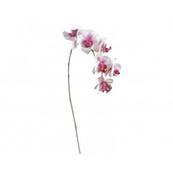 Fiore artificiale orchidea...