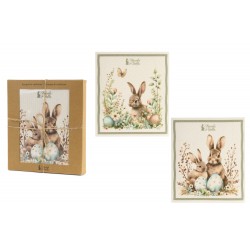 Spugne in cellulosa con...