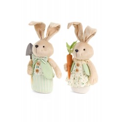 Coniglio con vestiti