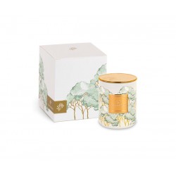 Candela intrecci verde