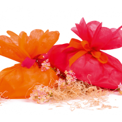 Buste in TNT porta colomba...