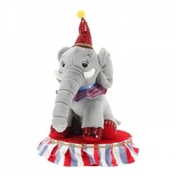 Elefantino da circo su palco