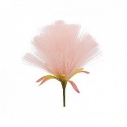 Pick dandelion - 6pz -...