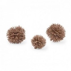 Ricci glitter - 20pz -...