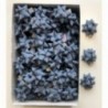 Coccarde di carta grandi colorate mm 19 - 100pz - COLORE: Blu