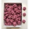 Coccarde di carta medie colorate mm14 - 100pz - COLORE: Fucsia