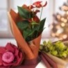 Bobina carta regalo Natale unicolor - 25m - COLORE: Rosso