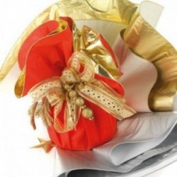 Fogli in TNT di Natale...