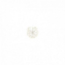 Palla in metallo bianco con...