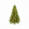 Albero di Natale Carrubo con luci - MISURA: Grande