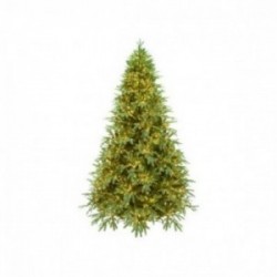 Albero di Natale Carrubo...