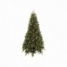 Albero di Natale faggio del Gargano - MISURA: Grande