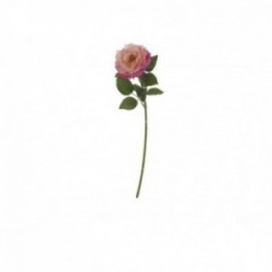 Rosa da giardino real touch...