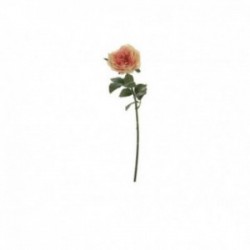 Rosa da giardino real touch...