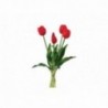 Mazzo di 5 tulipani real touch - COLORE: Rosso