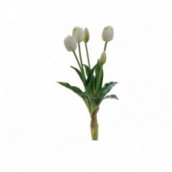 Mazzo di 5 tulipani real...