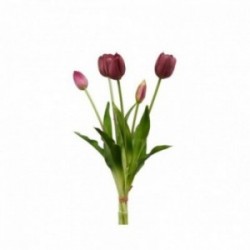 Mazzo di 5 tulipani real...