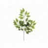 Ramo di ficus - COLORE: Verde