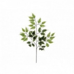 Ramo di ficus - COLORE:...