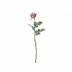 Bocciolo di rosa da...