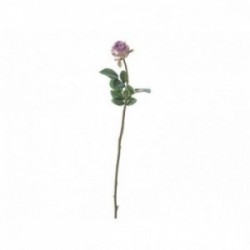 Bocciolo di rosa da...