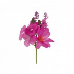 Pick fiori primaverili -...