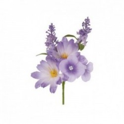 Pick fiori primaverili -...