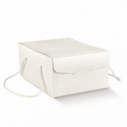 Scatola Segreto per colomba...