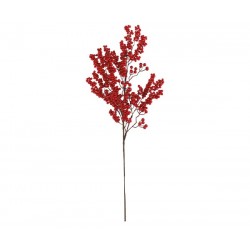 Ramo di bacche rosse