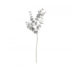 Ramo eucalipto grigio