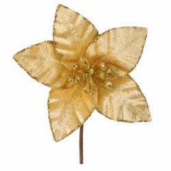 Pick stella di natale in...