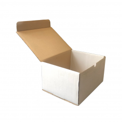 Scatola automontante bianca...