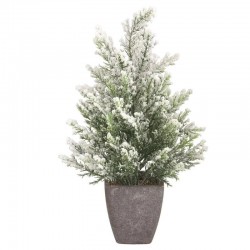 Vaso ginepro innevato