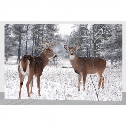Stampa su tela Coppia di cervi