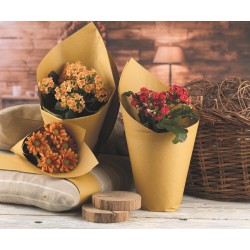 Bobina carta paglia 70gr